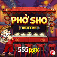 Premium Interface 555pgx